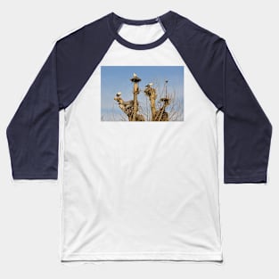 Nesting White Storks in North East Italy Baseball T-Shirt